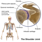 Shoulder Pain - AmritClinic